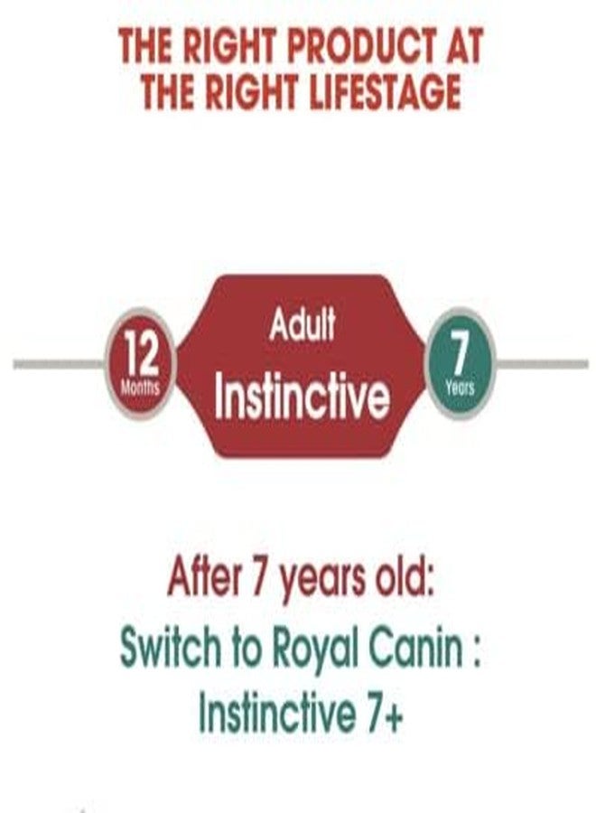Royal Canin Adult Instinctive Wet Cat Food, Pack of 48 Pieces, Supports Immunity System & Digestion - Image 5